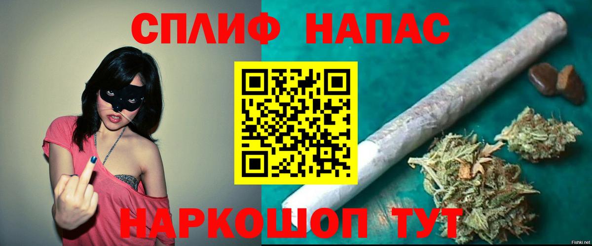 Конопля план Майский
